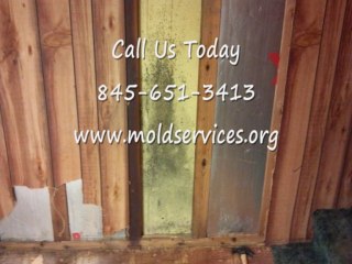 Warwick NY Mold Removal 845-651-3413