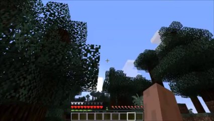 serveur minecraft lancement