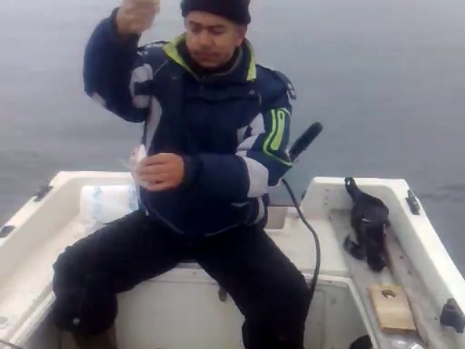 mercan avi 2