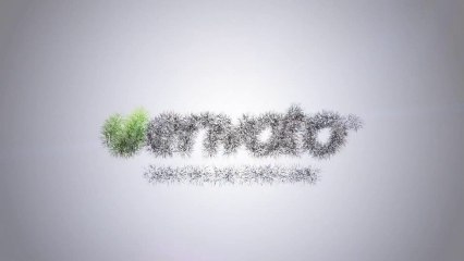 Flying Through Words Logo Reveal - After Effects Template