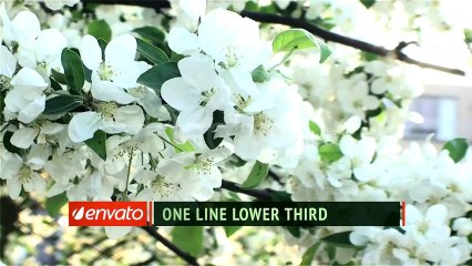 Sliding Brackets Lower Third - After Effects Template
