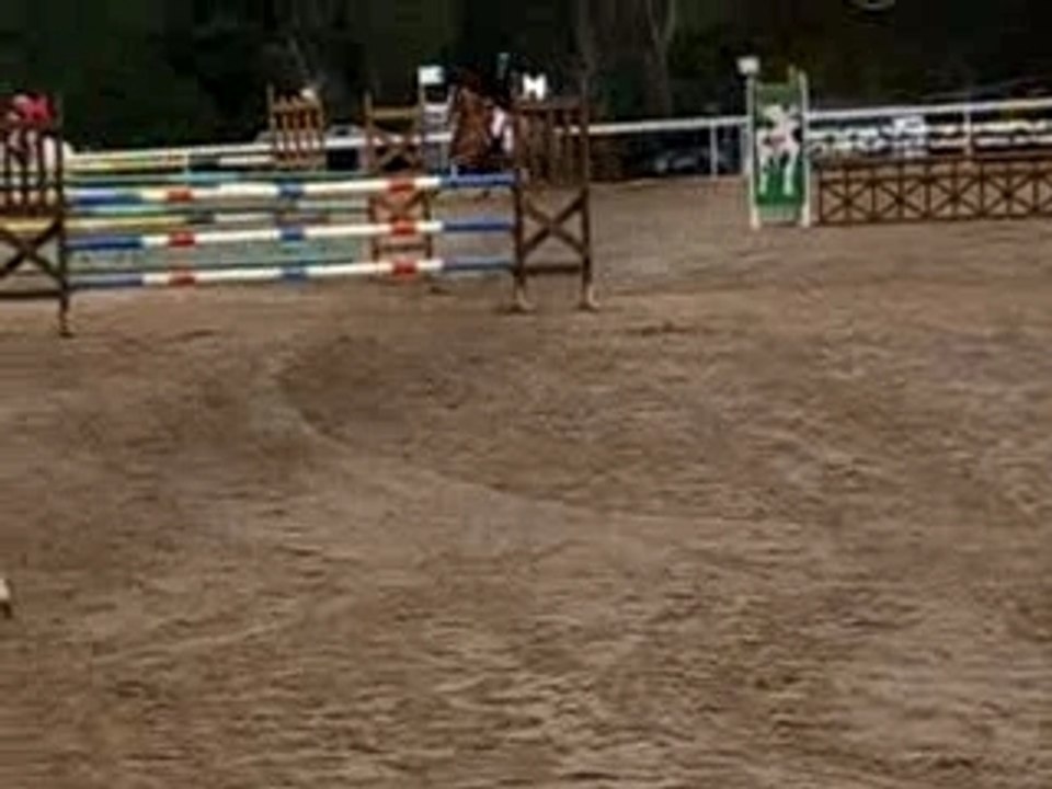 D1P - Ifor William Barrade