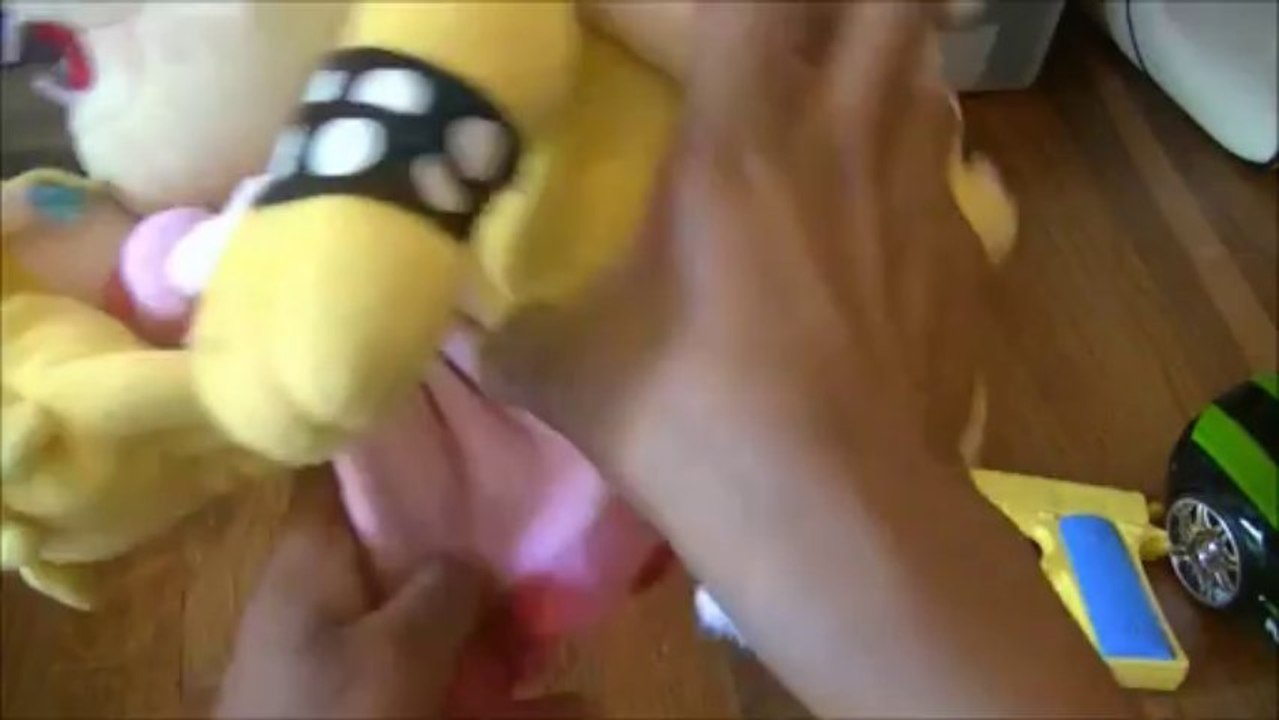 Bowser the Super Hero