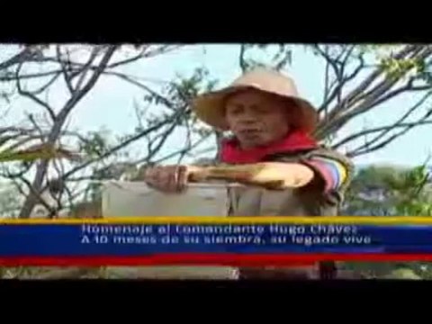 (Vídeo) TVes - Lanzamiento de salva desde el cuartel de la montaña.10 meses de siembra del Comandante eterno