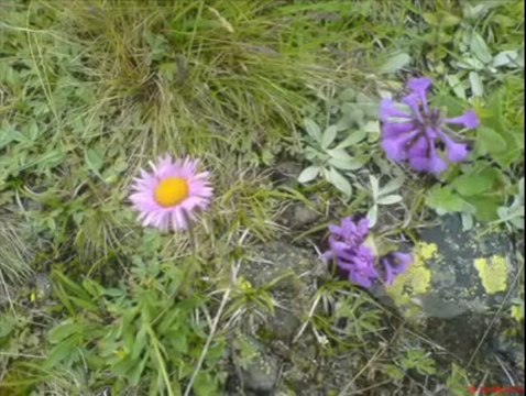 ben yazarken ağladum sen okurken ağlama // seslisehir //// seslisehir //// [ATİL_44]