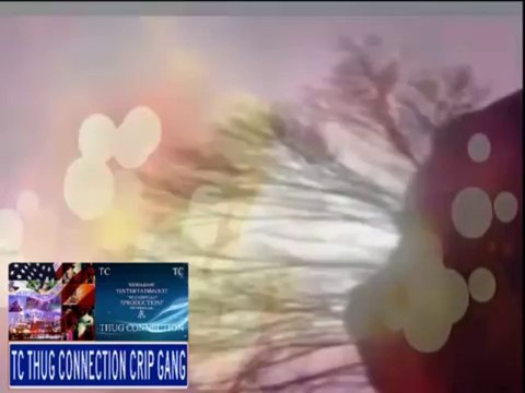 M$.CA$HVILLE THE FINE$T BEST FREESTYLE MUSIC VIDEO C'S^UP - YouTube