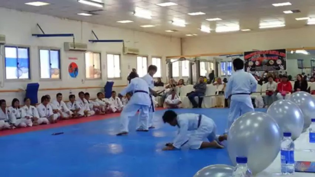 25th Silver Anniversary Nunchaku and Bo