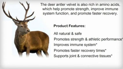 Deer Antler Velvet Extract - Nutrabusiness.com