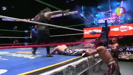 2014 Pequeno Reyes del Aire