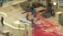Caccia alle balene, un video accusa il Giappone
