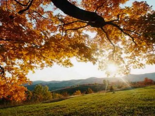 NEHiR GÖZLÜM SONUM OLUR @ TEKİN UÇAR