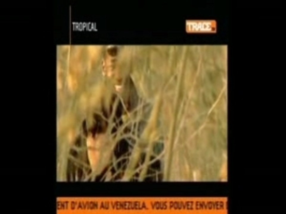 Talina - se ça