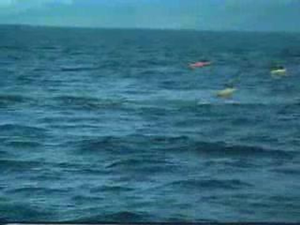 Kayak