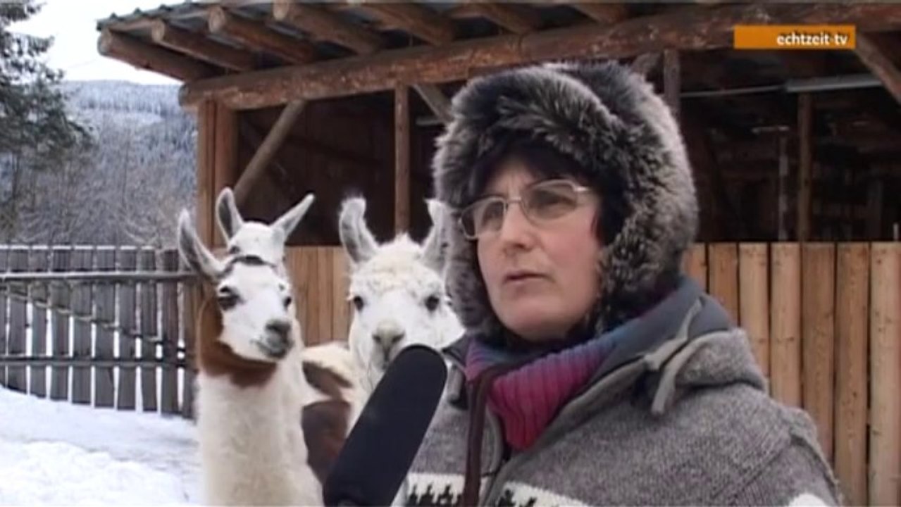Lama Trakking