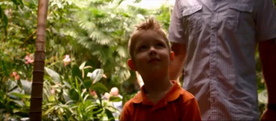 Heaven Is For Real Trailer 1080p