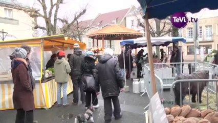 Voeux du Maire de Granville 2014 [TéVi] 06-01-14