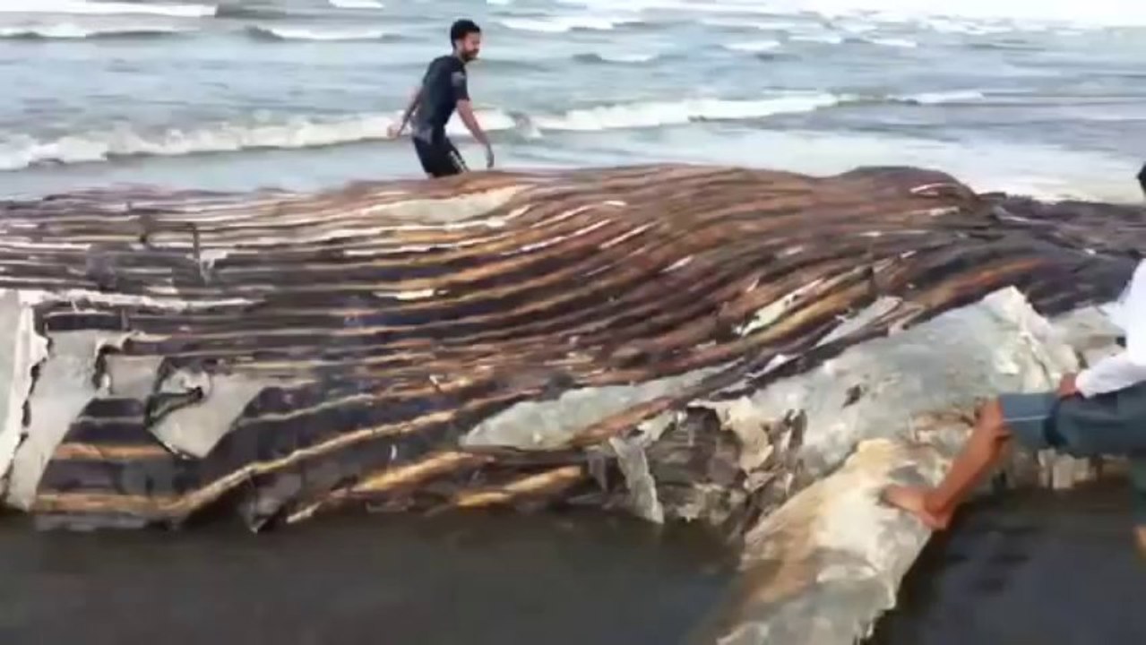 ALLAH KI QUDRAT - MUST WATCH AND SHARE