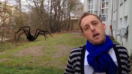 Les Délires de Guillaume "Alerte enlèvement Janvier 2014"