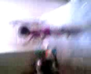 baby dancing taki taki