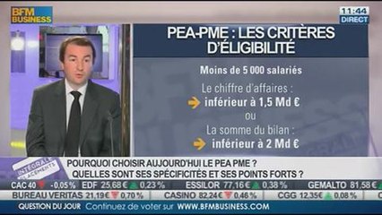 PEA-PME: Comment construire son portefeuille ?: Sébastien Faijean, dans Intégrale Placements - 06/01