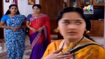 Pattu Saree 06 January 2014 , Pattu Saree 06-01-2014, Pattu Saree Latest Episode P3