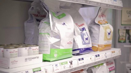 Welcome to Asher Road Animal Hospital