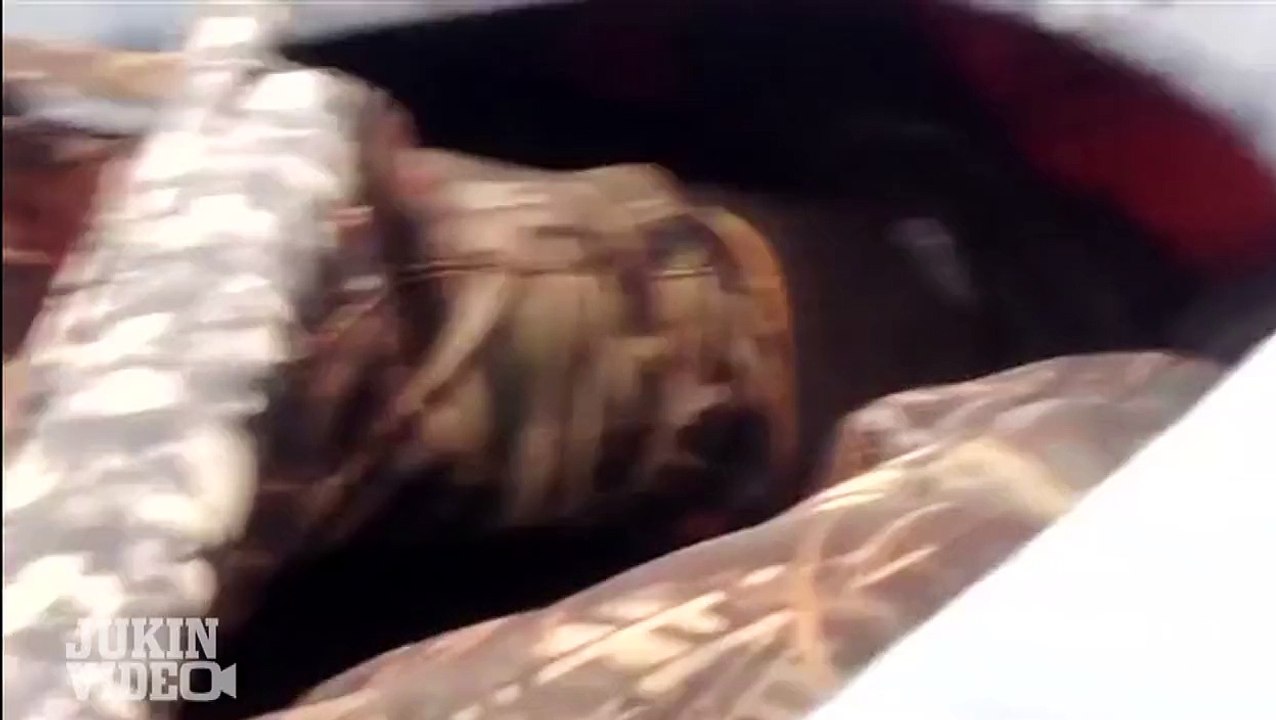 Hey Buddy | Friendly Seal Jumps Aboard!