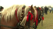 Horses receive traditional blessing in Romanian village