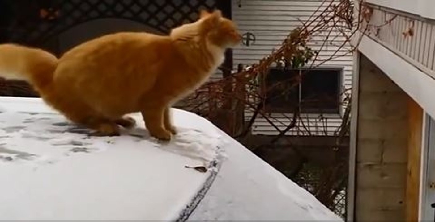 Epic Fail Compilation 2014