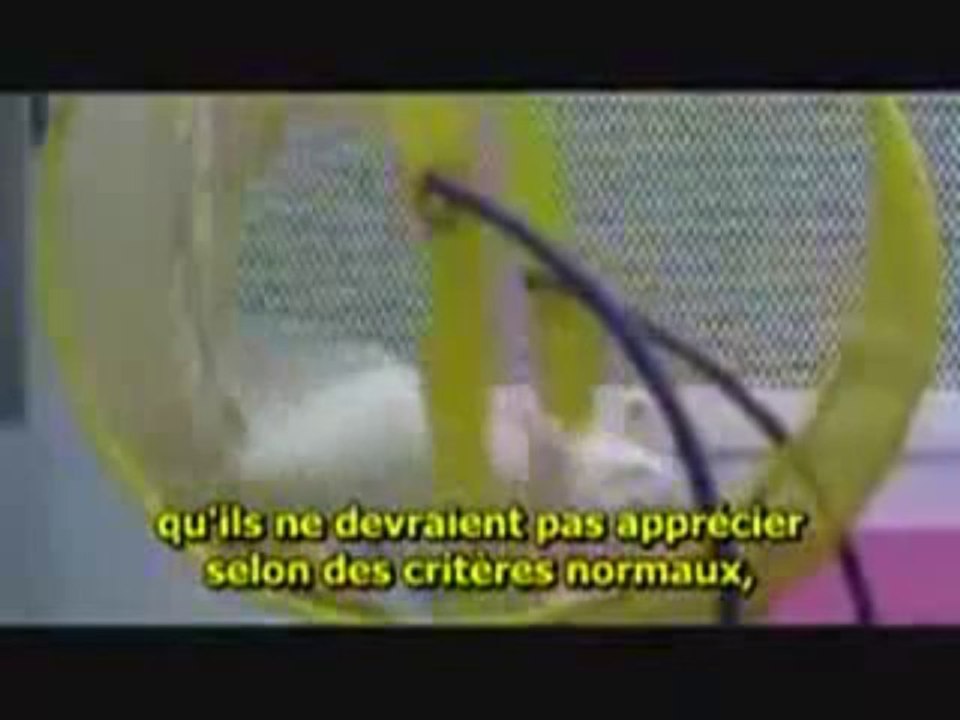 "Faire aimer à la population sa propre Servitude"_Aldous Huxley, auteur de Brave New World (Le Meilleur des Mondes)