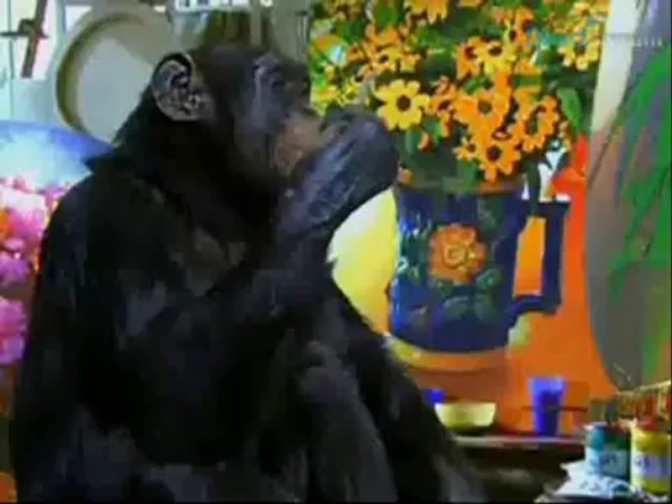 Chamada O Cravo e a Rosa + Caras & Bocas