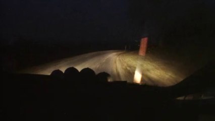 ERC AUSTRIA KUBICA OBC SS18