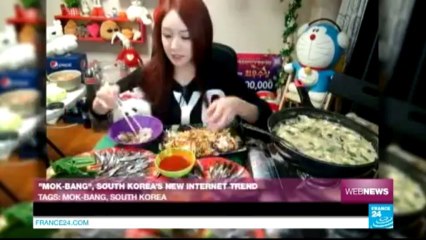 WEB NEWS - Egyptian puppet accused of terrorism