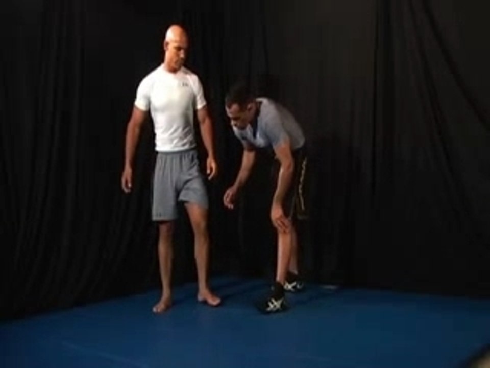 Leg Between # 1
