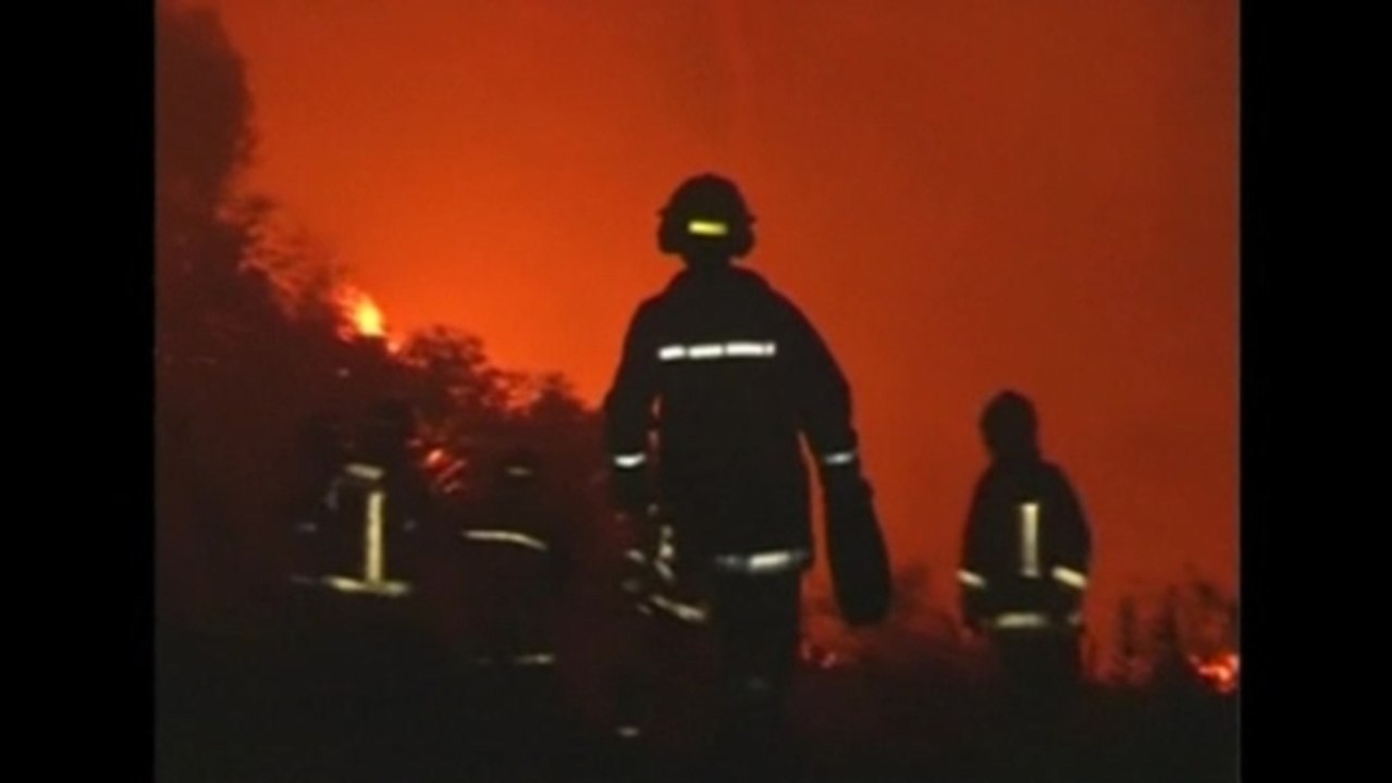 Forest fires rage in Chile
