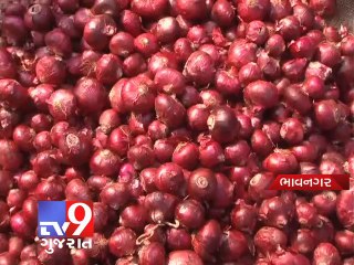 Onion prices may drop on high arrivals - Tv9 Gujarat