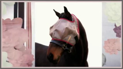 Horse Rugs from http://www.horseandrider.co.uk