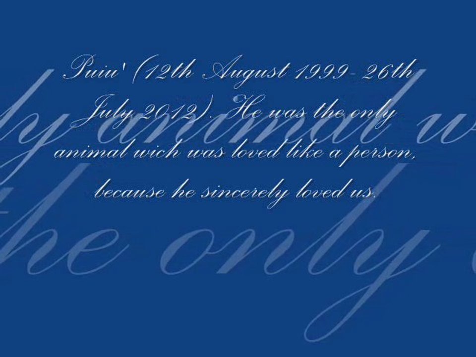 Puiu 1999-2012