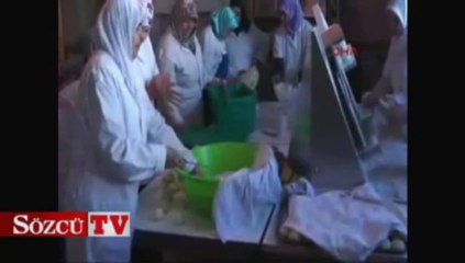 Karlsruhe'de hamsi festivali