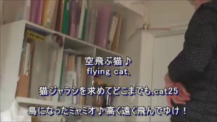 猫は空を飛ぶ♪flying cat,猫ジャラシ取ったる,cat25