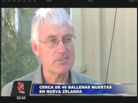 Cerca de 40 ballenas murieron tras quedar varadas en playa de Nueva Zelanda