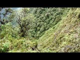 Bike Base Jumping off Cliff Road Goes Wrong