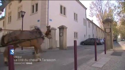 Bande Annonce VAQUI à la Cité du Cheval à Tarascon