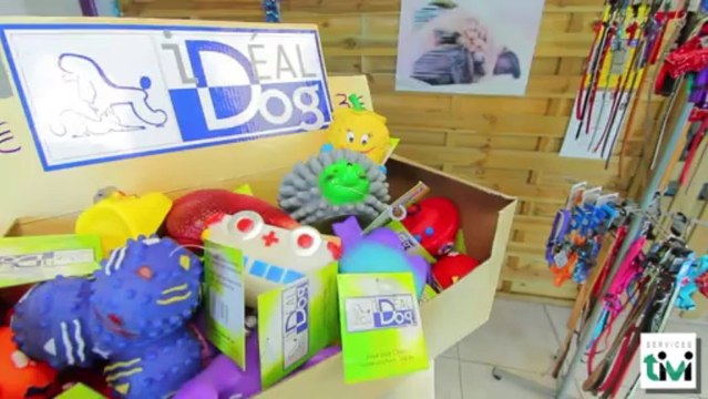 La Jolie Frimousse, salon de toilettage pour chiens à Plaintel (Côtes d'Armor - 22)