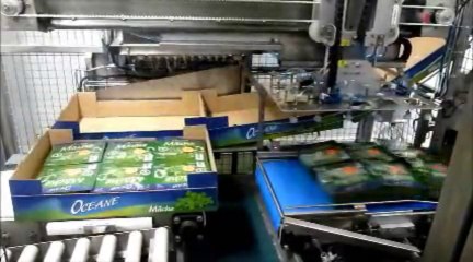 Encaissage automatique de barquette de salade (mâche)