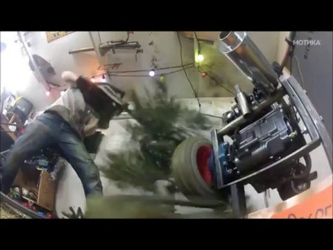 МОТИКА: Како најбрзо да ја растурите украсената новогодишна елка?