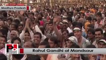 Rahul Gandhi: BJP has forgotten the tribal and dalits in Madhya Pradesh