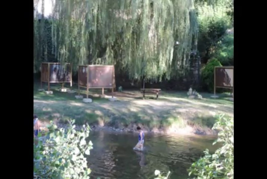 les expositions photos du Veau d'Aveyron et du Ségala été 2013