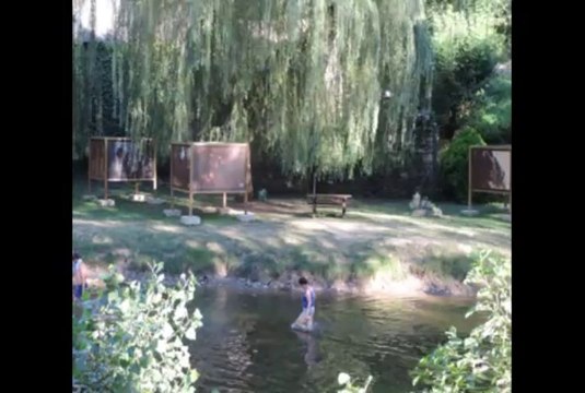 les expositions photos du Veau d'Aveyron et du Ségala été 2013