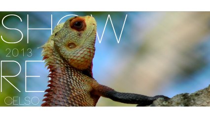 SHOWREEL 2K13 - Celso Video Maker